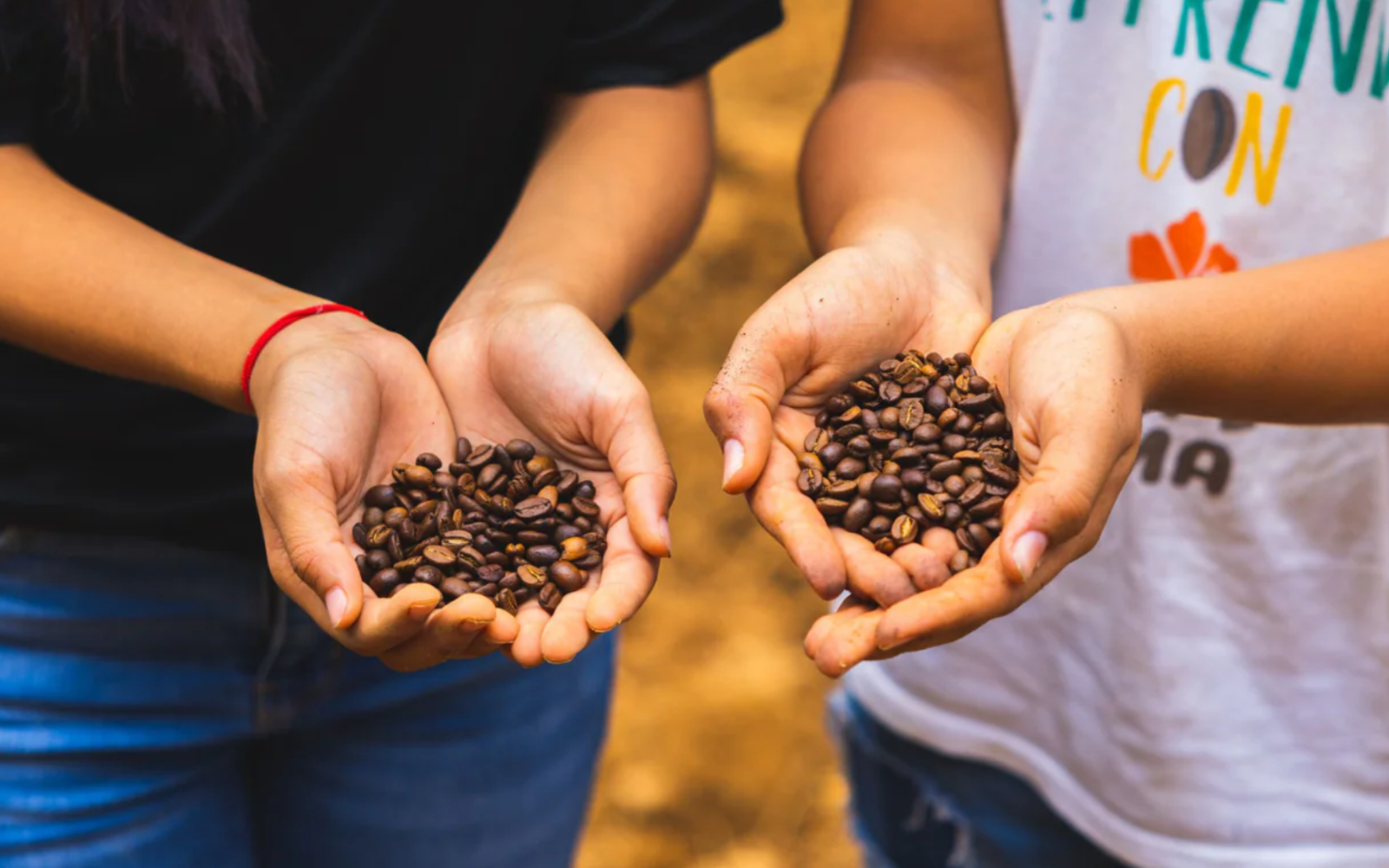 Two people holding coffee beans in their hands against a blurred background