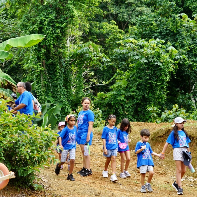 Panorama Experience Tour